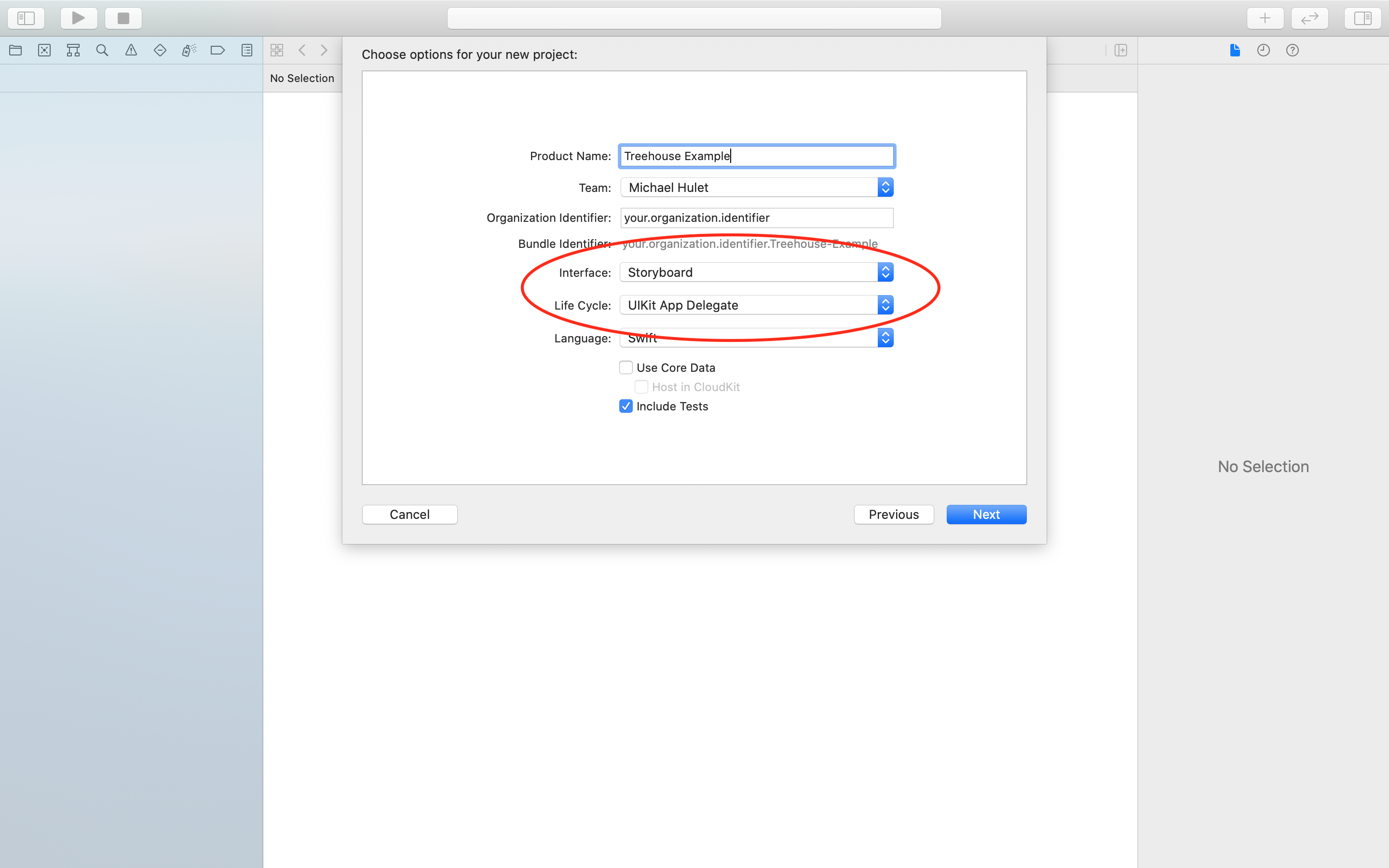 The app configuration screen of Xcode's "New Project" interface, with the "Interface" option set to "Storyboard" and the "Life Cycle" option set to "UIKit App Delegate"