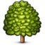 :deciduous_tree: