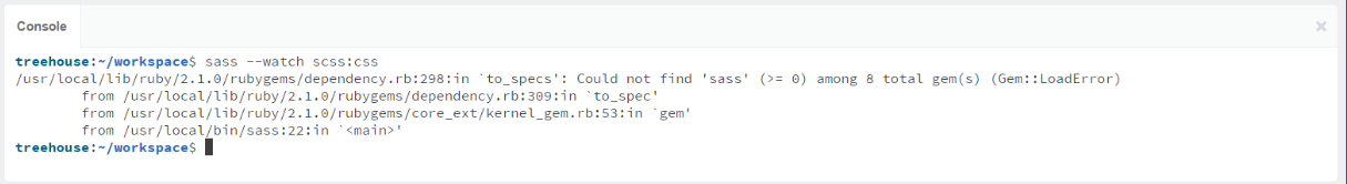 Image of console sass error