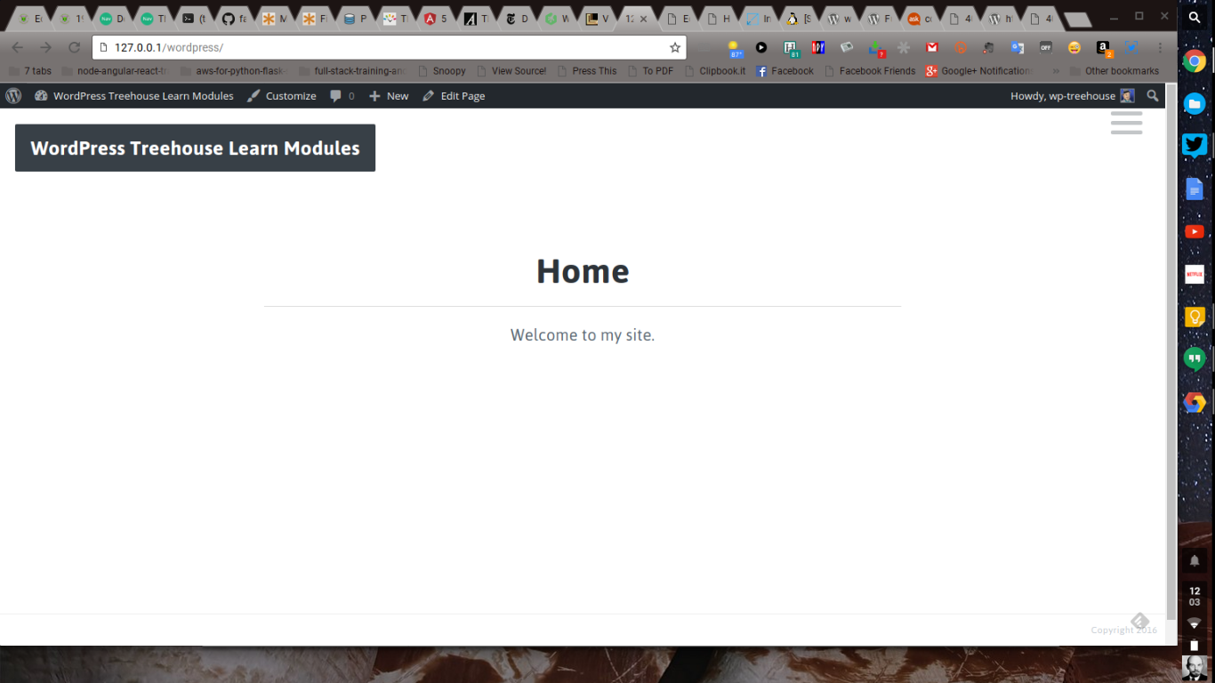 WordPress Local Install Home Page Screenshot