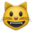 :smiley_cat: