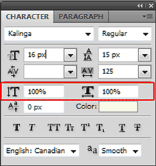 Text scale settings